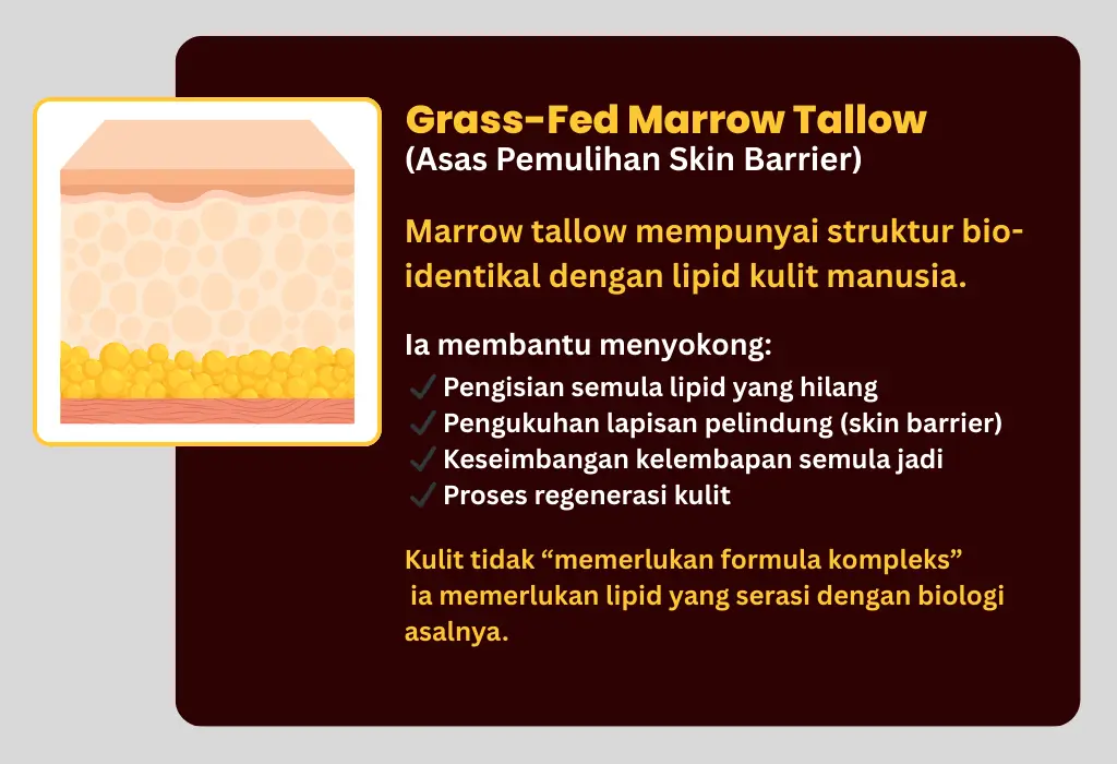 1 2.webp