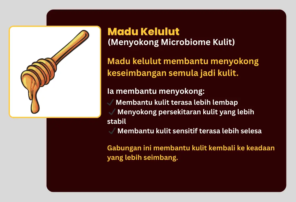 2 1.webp