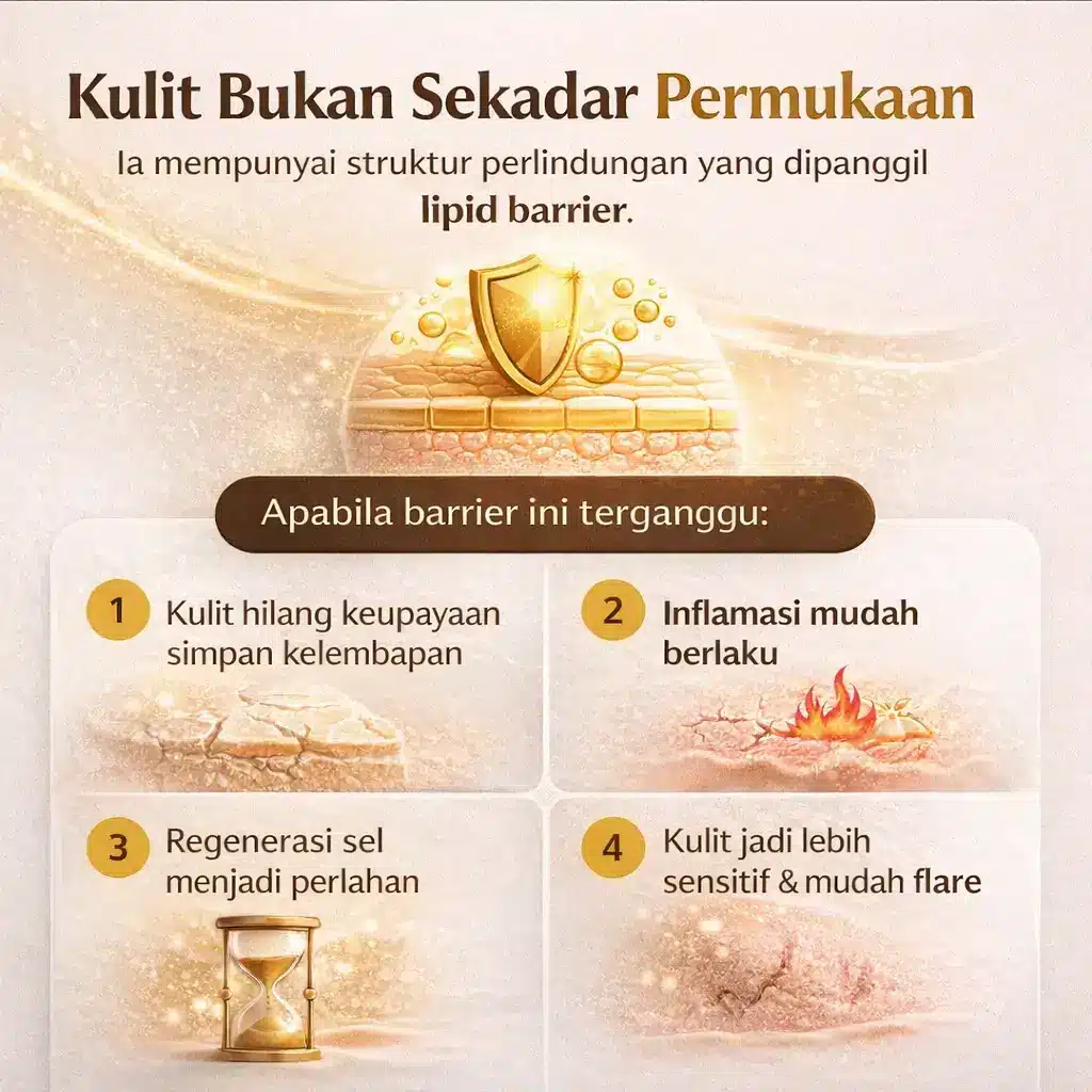 chatgpt image feb 25 2026 02 46 15 am.webp